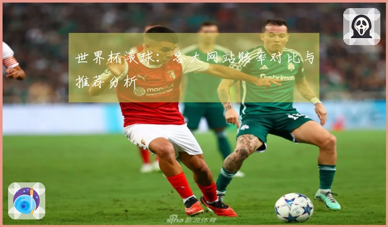 世界杯滚球：各大网站赔率对比与推荐分析