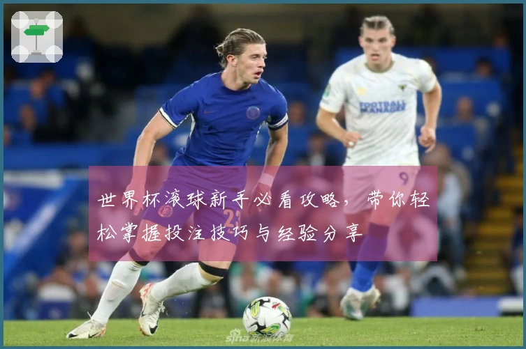 世界杯滚球新手必看攻略，带你轻松掌握投注技巧与经验分享