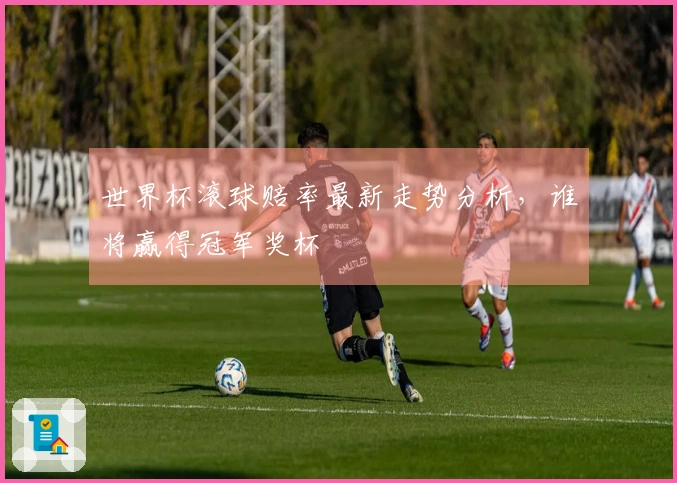 世界杯滚球赔率最新走势分析，谁将赢得冠军奖杯