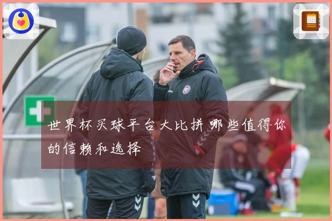 世界杯买球平台大比拼 哪些值得你的信赖和选择