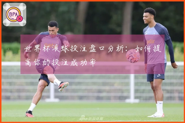 世界杯滚球投注盘口分析：如何提高你的投注成功率