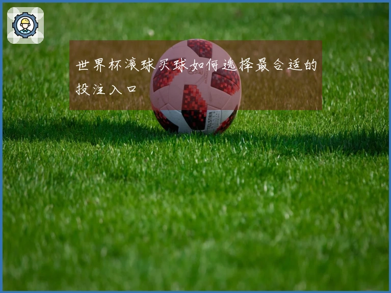 世界杯滚球买球如何选择最合适的投注入口