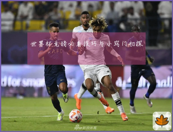 世界杯竞猜必看技巧与小窍门初探