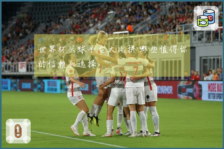 世界杯买球平台大比拼 哪些值得你的信赖和选择