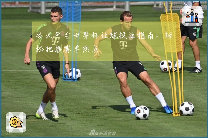 各大平台世界杯让球投注指南，轻松把握赛季热点