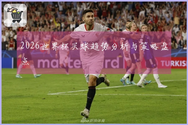 2026世界杯买球趋势分析与策略盘点