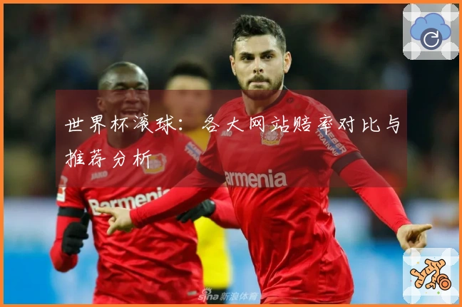世界杯滚球：各大网站赔率对比与推荐分析