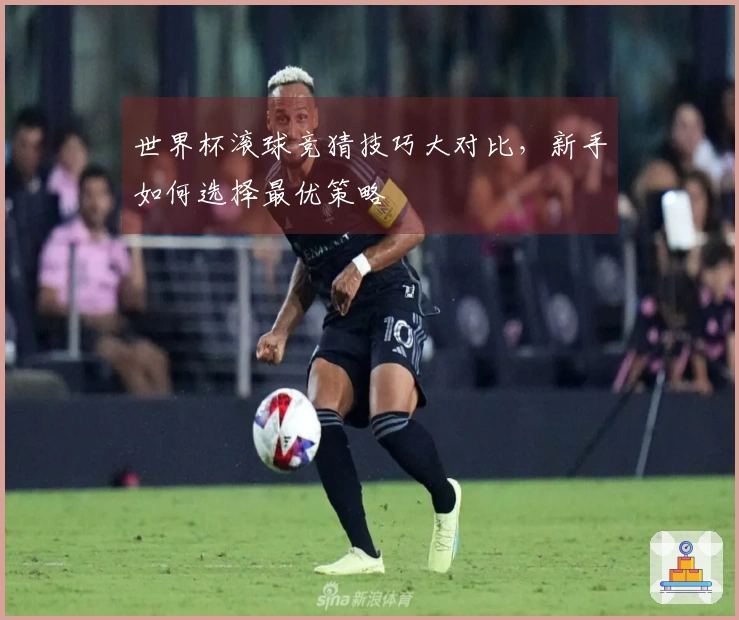 世界杯滚球竞猜技巧大对比，新手如何选择最优策略