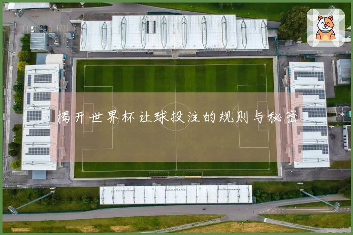 揭开世界杯让球投注的规则与秘密