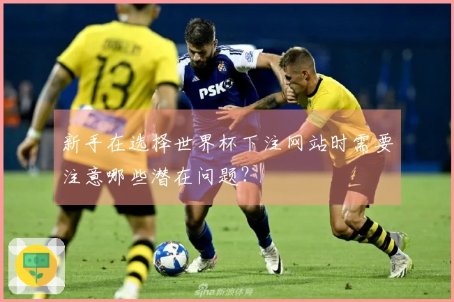 新手在选择世界杯下注网站时需要注意哪些潜在问题？