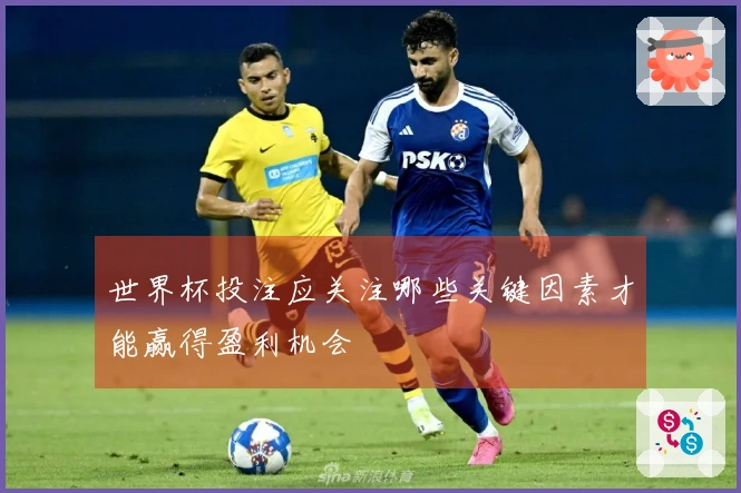 世界杯投注应关注哪些关键因素才能赢得盈利机会