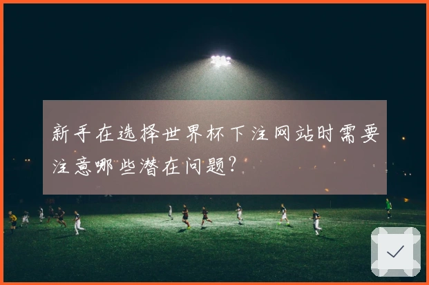 新手在选择世界杯下注网站时需要注意哪些潜在问题？